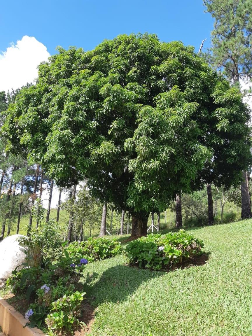 Recanto Das Borboletas São Roque Exterior photo